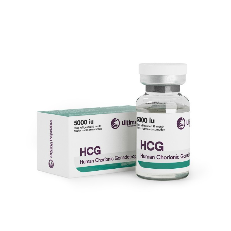 Ultima-HCG 5000IU https://sterohub.com/shop/12/b-ultima-hcg-5000iu.jpg