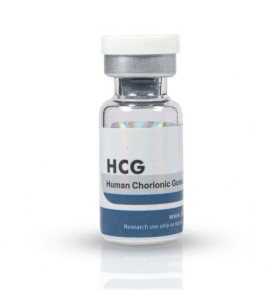 HCG 10000 Beligas Pharma USA https://sterohub.com/shop/16/HCG-10000-Beligas-Pharma-USA-280x300w.jpg