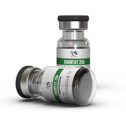 Enantat 250 https://sterohub.com/shop/25/enantat-250-15688-s.jpg