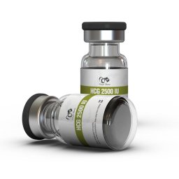 HCG 2500 IU https://sterohub.com/shop/25/hcg-2500-iu-19937-s.jpg