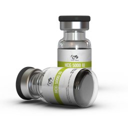 HCG 5000 IU https://sterohub.com/shop/25/hcg-5000-iu-22369-s.jpg