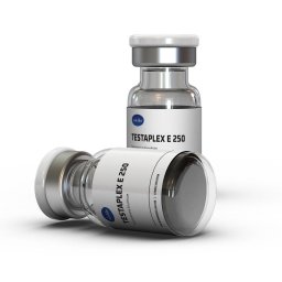 Testaplex E 250 https://sterohub.com/shop/25/testaplex-e-250-15665-s.jpg