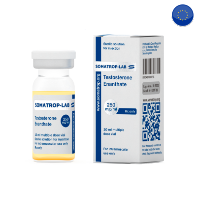 Testosterone Enanthate https://sterohub.com/shop/3/75J7QSmslJ0r5Xa9tddeZyam92DDQcOjsdPjjUKs.png