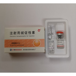 HCG 5000IU (Livzon) https://sterohub.com/shop/4/hcg-5000iu-livzon.jpg
