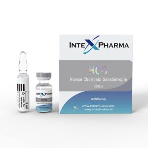 Intex HCG 5000iu https://sterohub.com/shop/7/2024-hcg-min-300x300.jpg