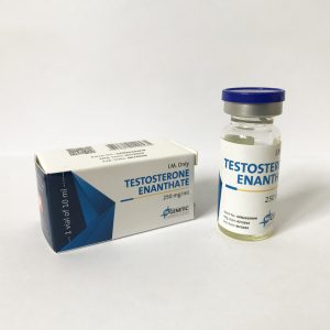 Testosterone Enanthate 250 - Genetic Pharmaceuticals