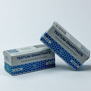 Testum Enanthate 250 - Magnum Laboratories