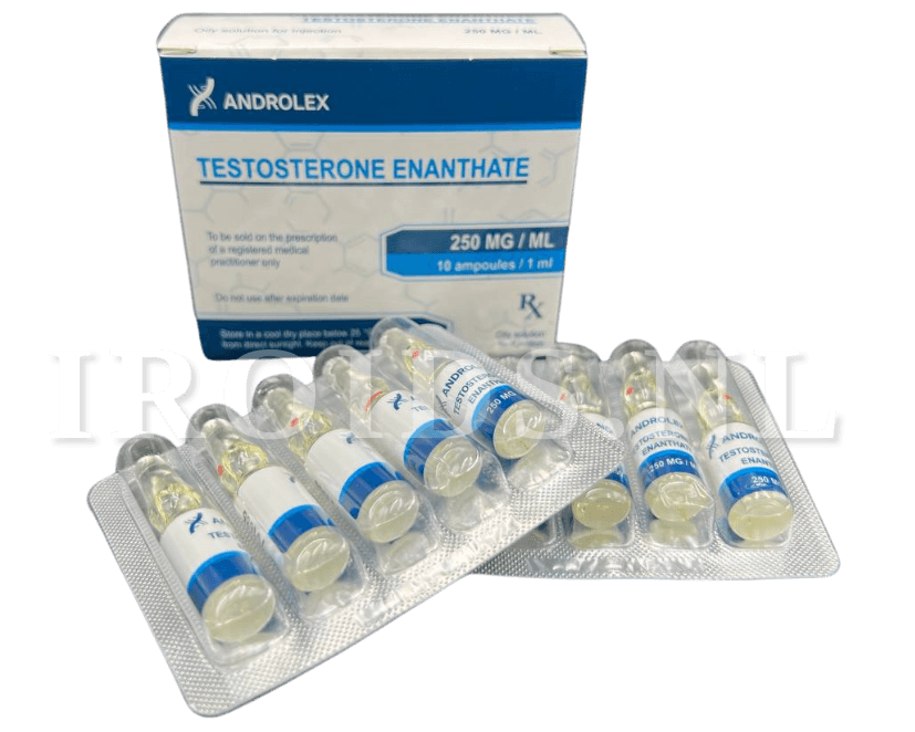 Testosterone Enanthate 250 AMPULES - Androlex