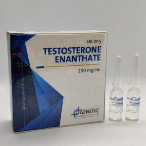 Testosterone Enanthate 250 AMPULES - Genetic Pharmaceuticals
