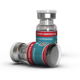 Testoxyl Enanthate 400 - Kalpa Pharmaceuticals